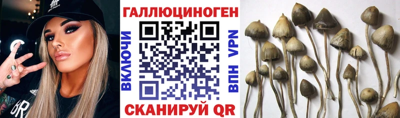 Галлюциногенные грибы ЛСД  blacksprut tor  маркетплейс Telegram  Коркино 